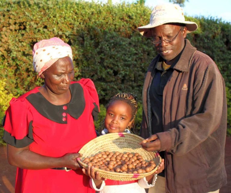 Eine Bauernfamilie aus Kenia mit einem Korb mit geknackten Macadamianüssen in der Hand